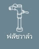 ฟลัชวาล์ว